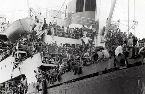 Pioneer Contender Refugees